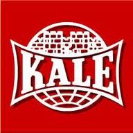 montaj_usi_kale